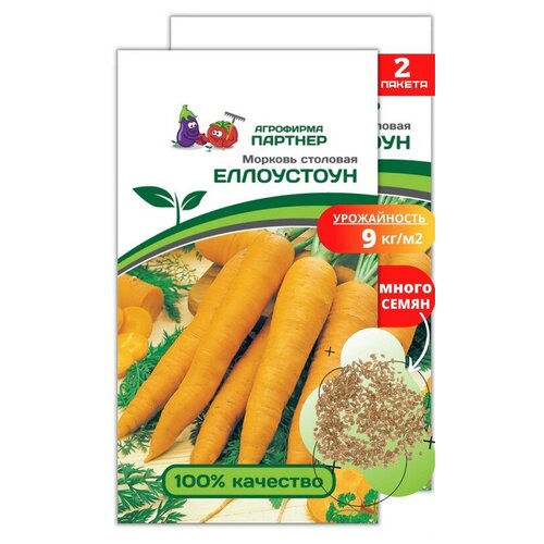 Семена моркови. Морковь столовая 