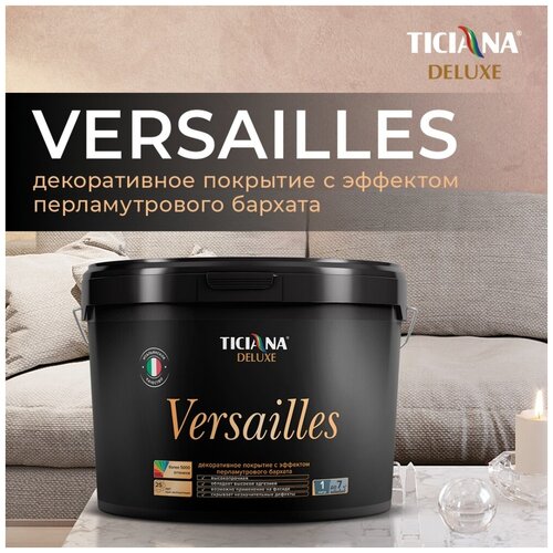 Краска этрифталевая (ЭТ) Ticiana Versailles серебро 0.45 л