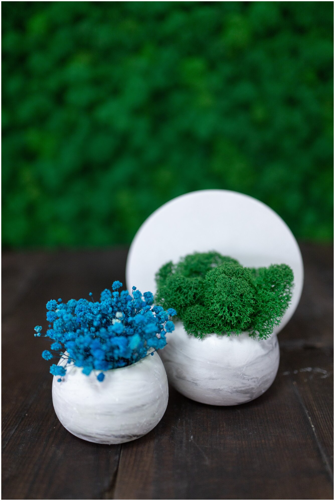 Кашпо шары со стабилизированным мхом и цветы гипсофила голубого цвета