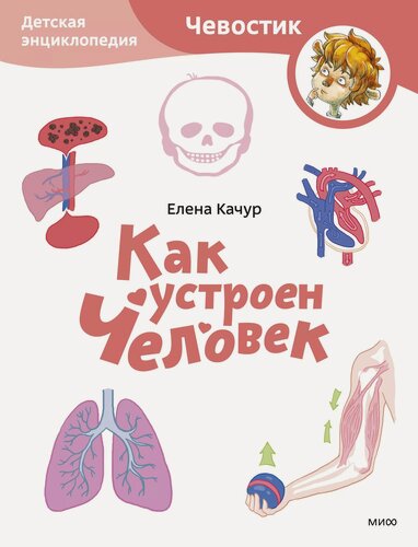 Изображение товара Как устроен человек. Детская энциклопедия (Чевостик) (Paperback)