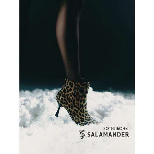 фото Ботильоны salamander, размер 36, коричневый