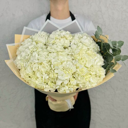 Изображение товара Монобукет Rybe-Flowers "Гортензии", 9шт, белые, с ветвями эвкалипта, 50см
