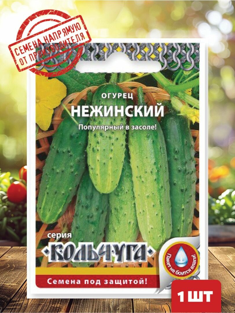 Семена Огурец Нежинский 