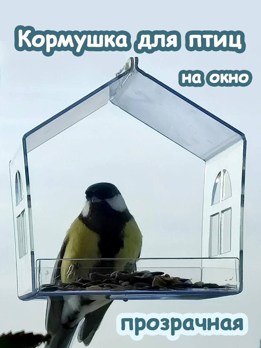 Прозрачная оконная кормушка для птиц, птичка невеличка