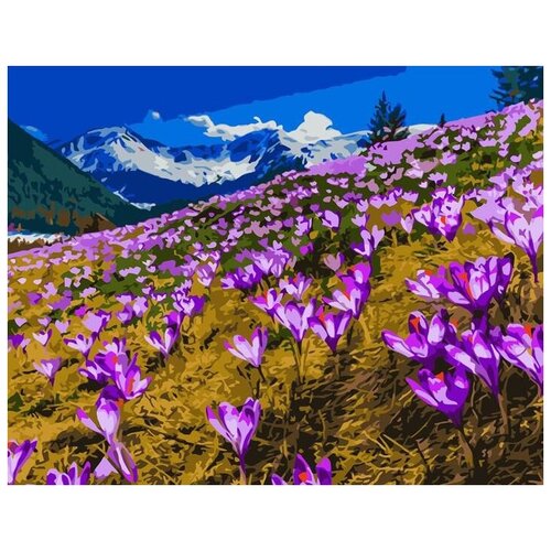 картина по номерам две картинки colibri девушка в поле алых тюльпанов Картина по номерам Colibri Пурпурное поле 40х50 см Холст на подрамнике