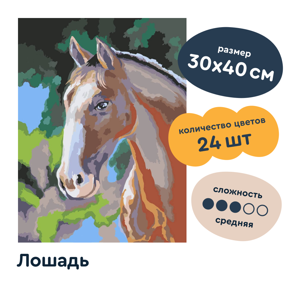 Авторская картина по номерам на холсте JUNION Creative – лошадь, 30х40 см