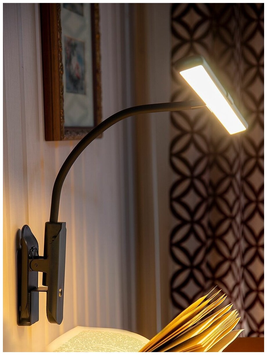 Светильник настольный LUCIA FLEX Accu Clip, на прищепке, 10Вт, черный [l555] - фото №5