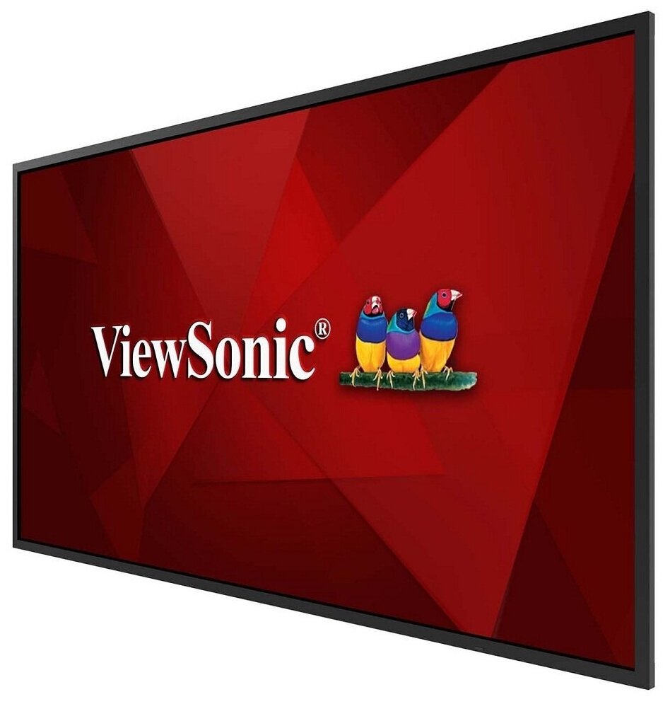 43 Монитор ViewSonic CDE4320 черный