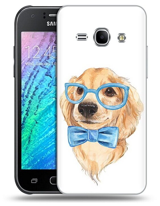 Чехол задняя-панель-накладка-бампер MyPads Собака интеллигент для Samsung Galaxy J1 (2015) SM-J100H/F/DuoS противоударный