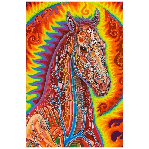 картина по номерам лошадь в цветах 8870 в 60x40 Картина по номерам на холсте эзотерика космос лошадь - 6834 В 60X40