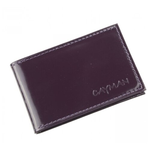 Визитница на 18 листов / Картхолдер для карт и визиток / Натуральная кожа01-17л-44