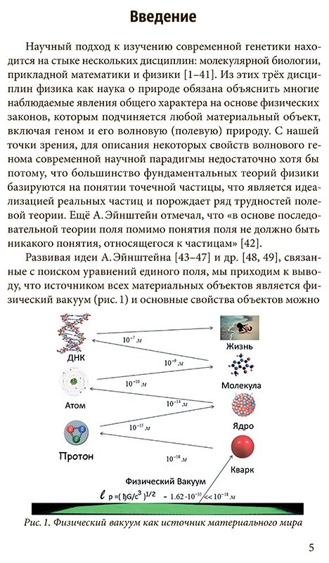 Квантовый геном в понятиях теории физического вакуума - фото №3