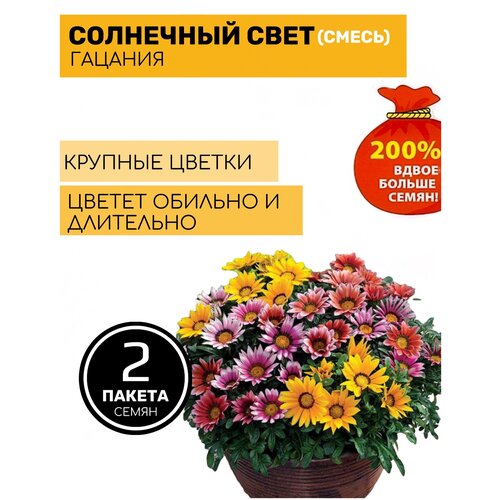 Цветы Гацания Солнечный свет (смесь) (200%) 2 пакета по 0,2г семян цветы маргаритка конфетти 200% 2 пакета по 0 1г семян