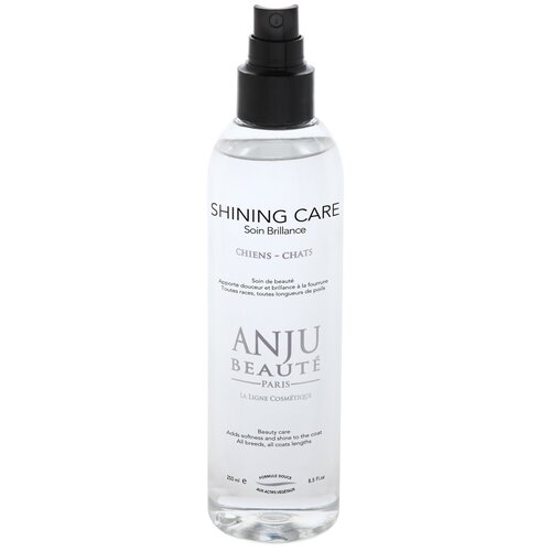 Anju Beauté Спрей Ультра-Блеск (Brilliance Shining Spray) (AN910), 150 мл