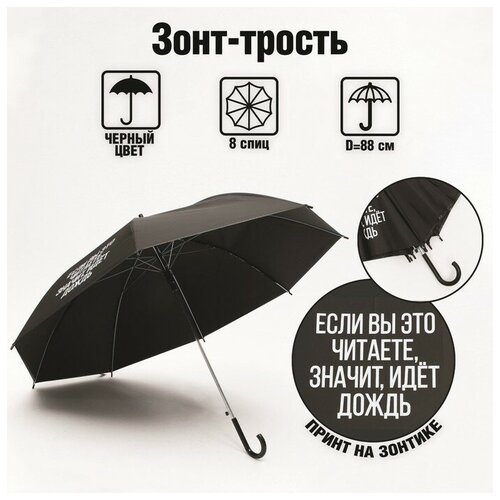 фото Мини-зонт radel, полуавтомат, 8 спиц, черный, мультиколор
