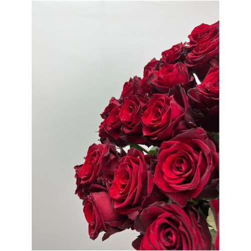 Букет Роза красная Эксплорер 70 см 19 шт