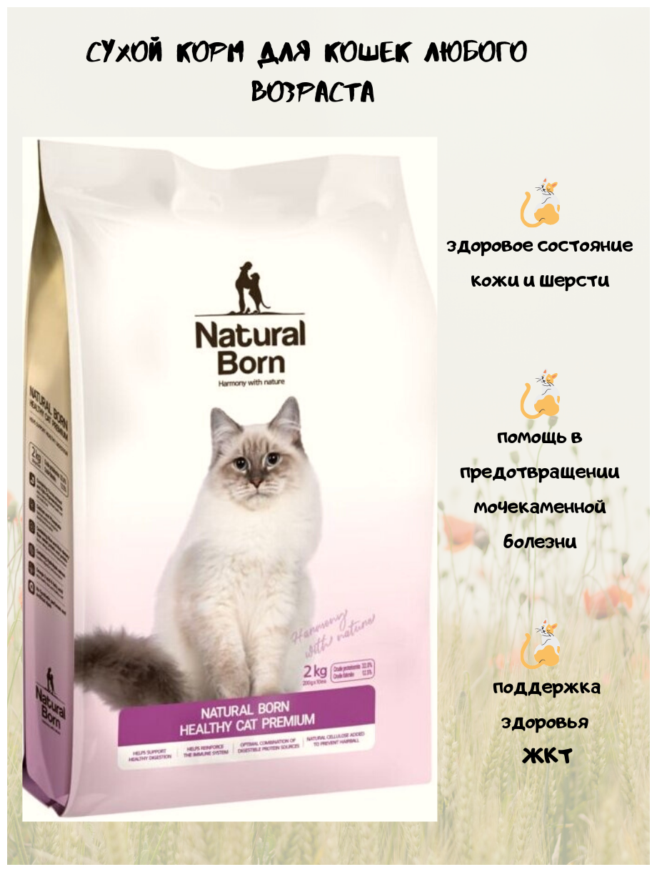Сухой корм для кошек Natural Born Healthy Cat Premium с курицей 2 кг - фотография № 2