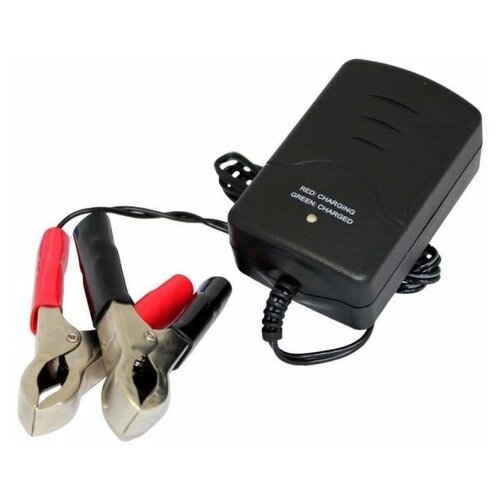 Восток 220-12-03 Автоматическое зарядное устройство для аккумуляторов 12В АКБ 100000₽