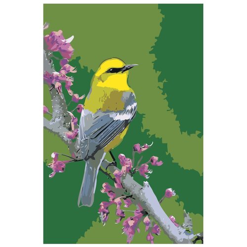 Желтая птичка на ветке Раскраска картина по номерам на холсте