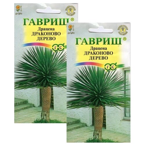 Цветы Драцена Драконово дерево 2 пакета по 3шт семян семена драцена драконово дерево 3 шт