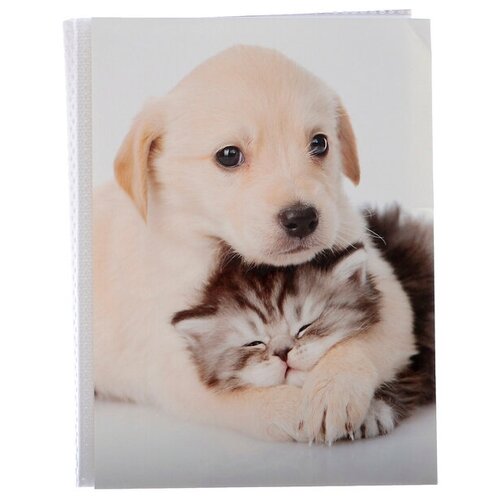 Фотоальбом на 36 фото 10х15 см Pioneer Puppies and kittens друзья./В упаковке шт: 1