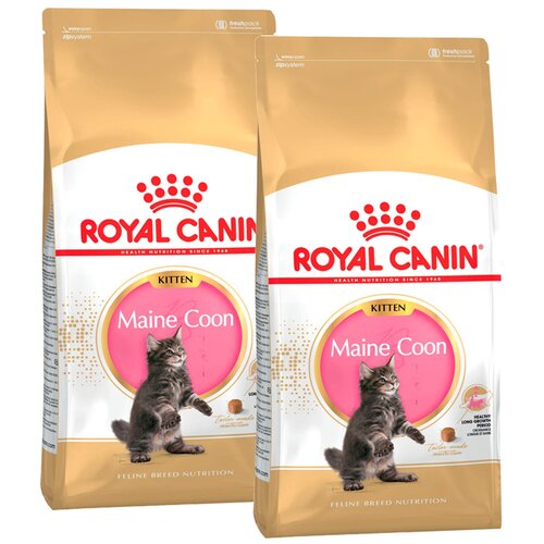 Сухой корм ROYAL CANIN MAINE COON KITTEN 36 для котят мэйн кун (0,4 + 0,4 кг)