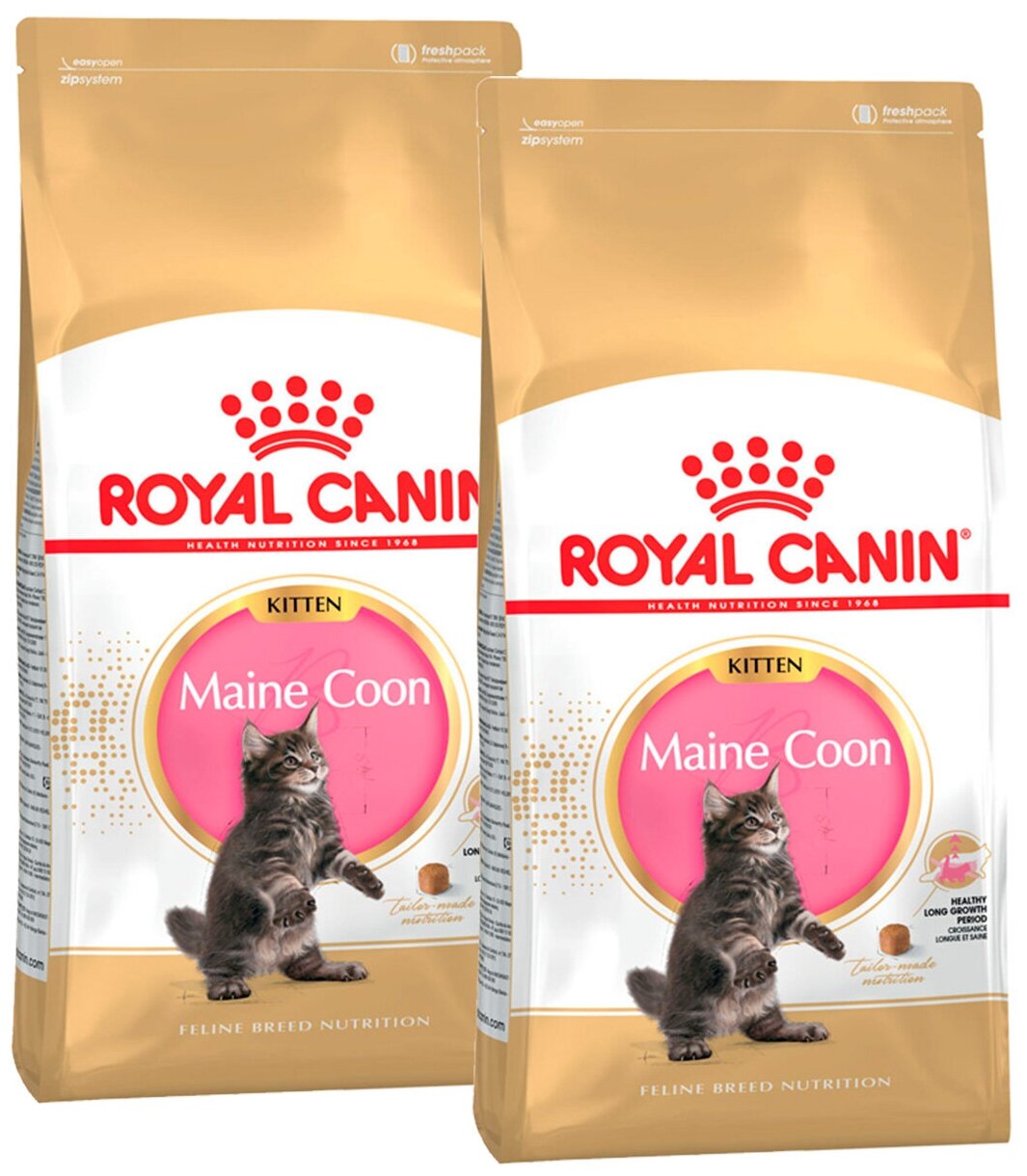 Сухой корм ROYAL CANIN MAINE COON KITTEN 36 для котят мэйн кун (2 + 2 кг)