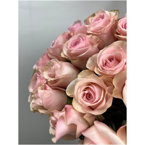 Букет Роза нежно-розовая Нова 60 см 7 шт