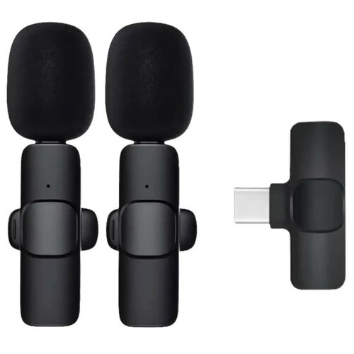 Студийный комплект для звукозаписи для мобильного устройства TWS Type-C 2 микрофона Черный 279000₽
