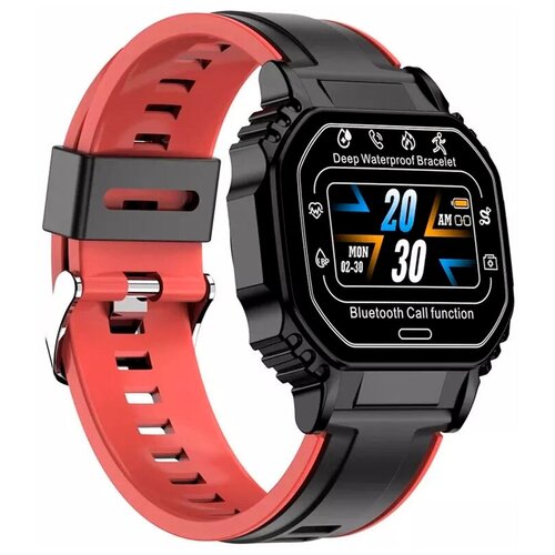 BandRate Smart BRSB2BR 254200₽