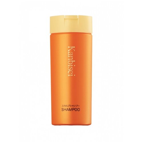 Шампунь для скальпа Канбисей CBON Kanbisei Sculp Shampoo