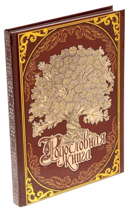 Книга моей семьи (без автора) - фото №1