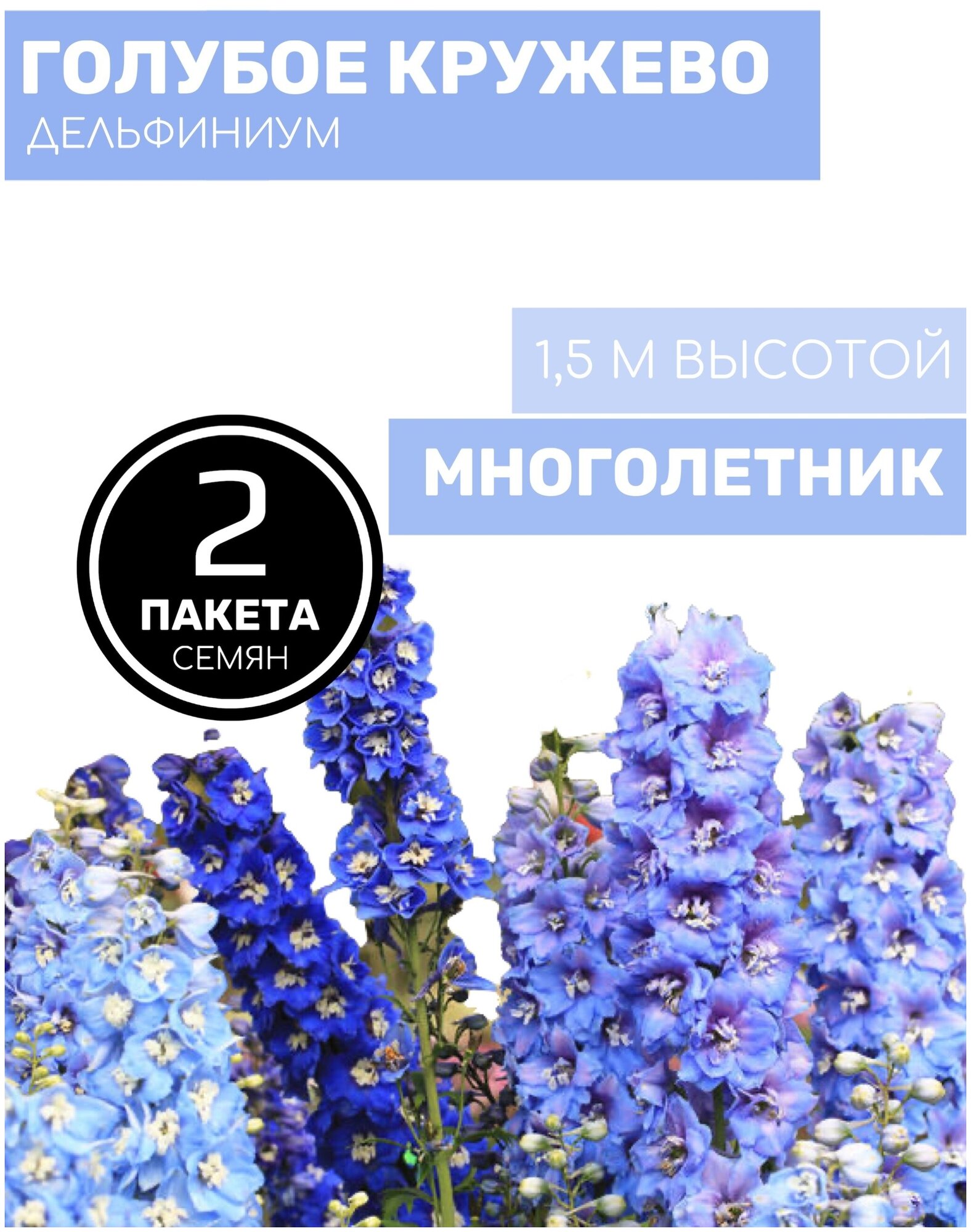 Цветы Дельфиниум Голубое кружево многолетний 2 пакета по 007г семян