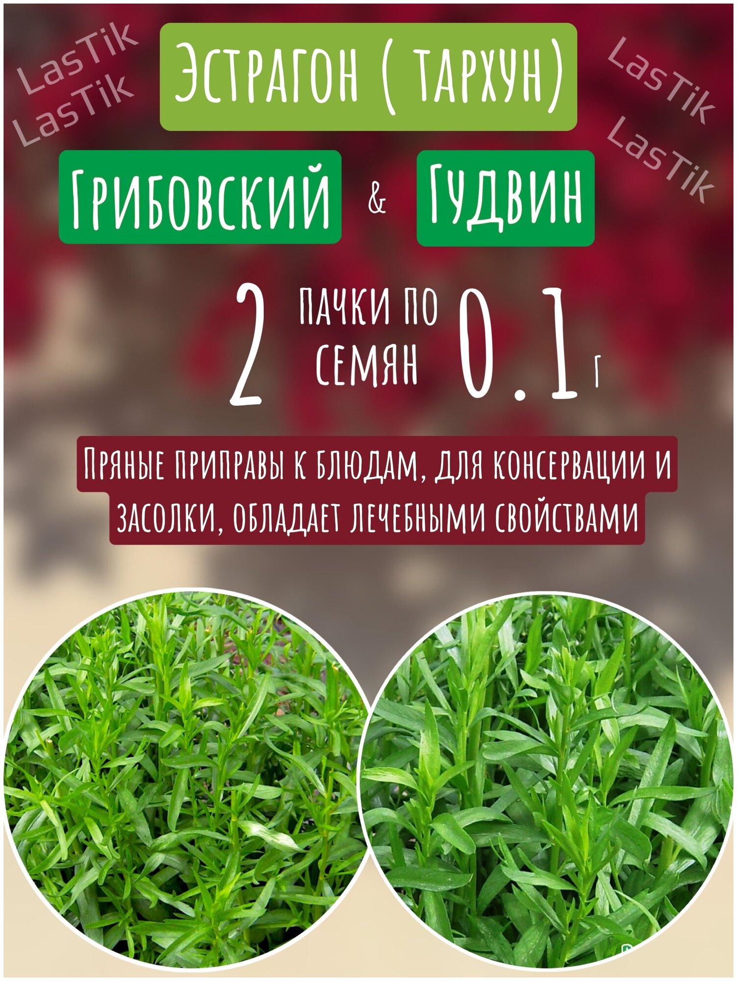 Эстрагон Грибовский и Эстрагон Гудвин 2 пакета по 01г семян