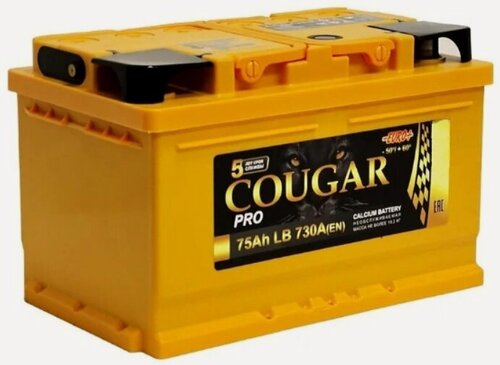 Изображение товара Аккумулятор автомобильный Cougar PRO 75 А/ч 730 А обр. пол. низкий Евро авто (278х175х175)
