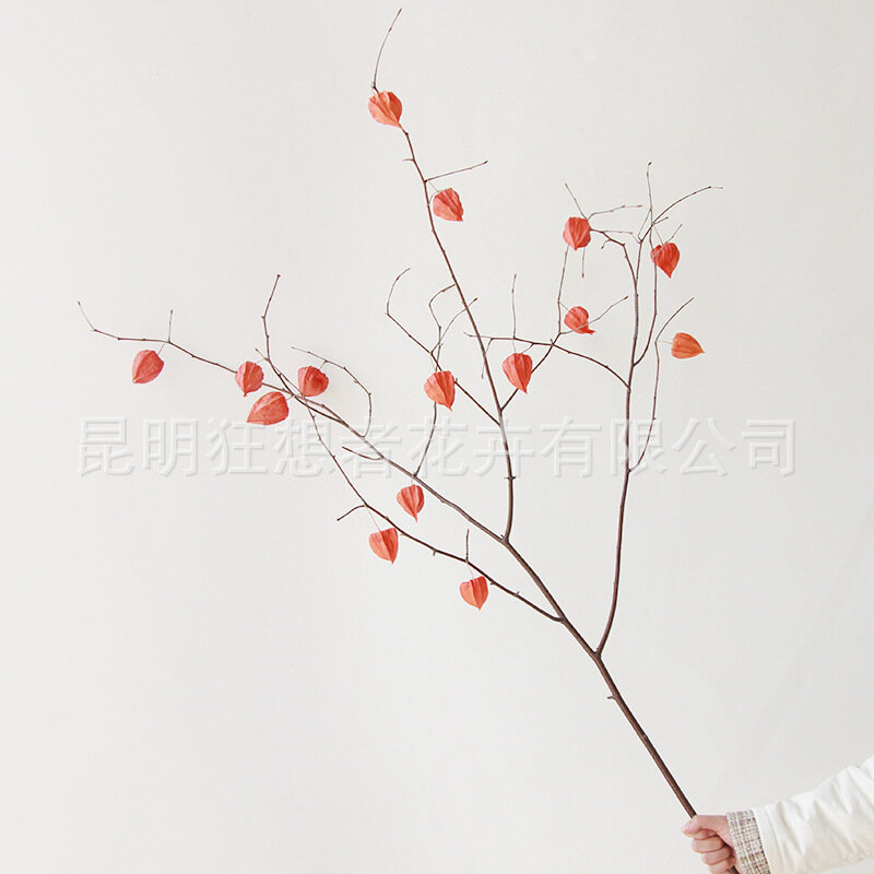 Новогодние цветы Fanatics quality dried flowers "Рапсодия", 100-120 см