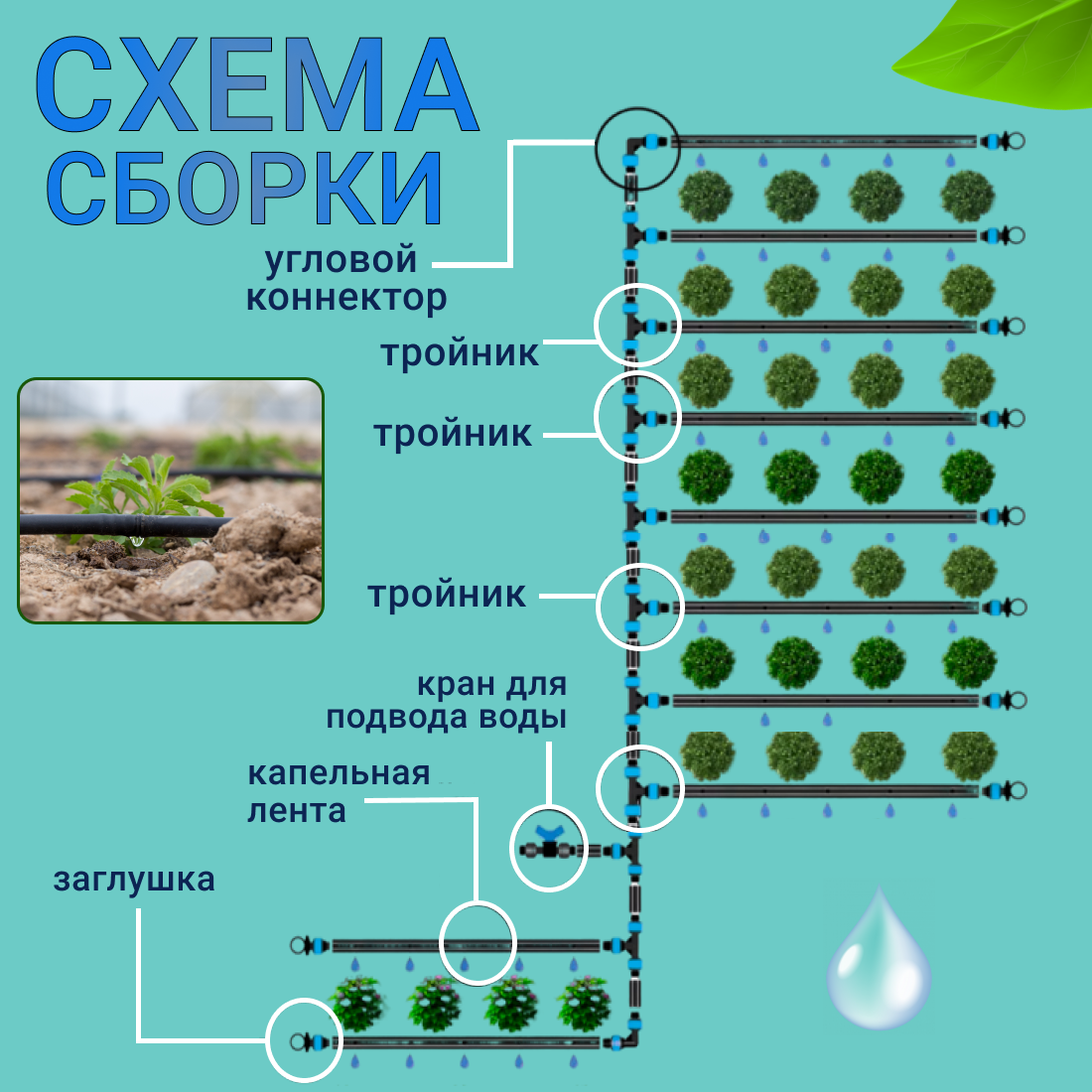 6 mils. Капельный полив от водопровода и бочки, 100 метров, 500 растений, система капельного полива — фото 1