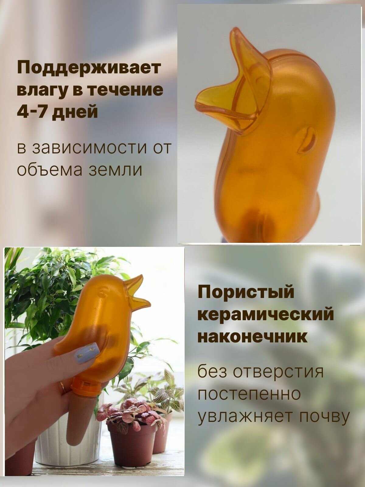 Автополив Для Домашних Растений Автополив для комнатных растений и цветов капельный полив лейка комнатная