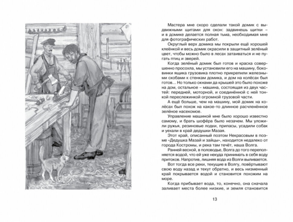 Лисичкин хлеб — фото 1