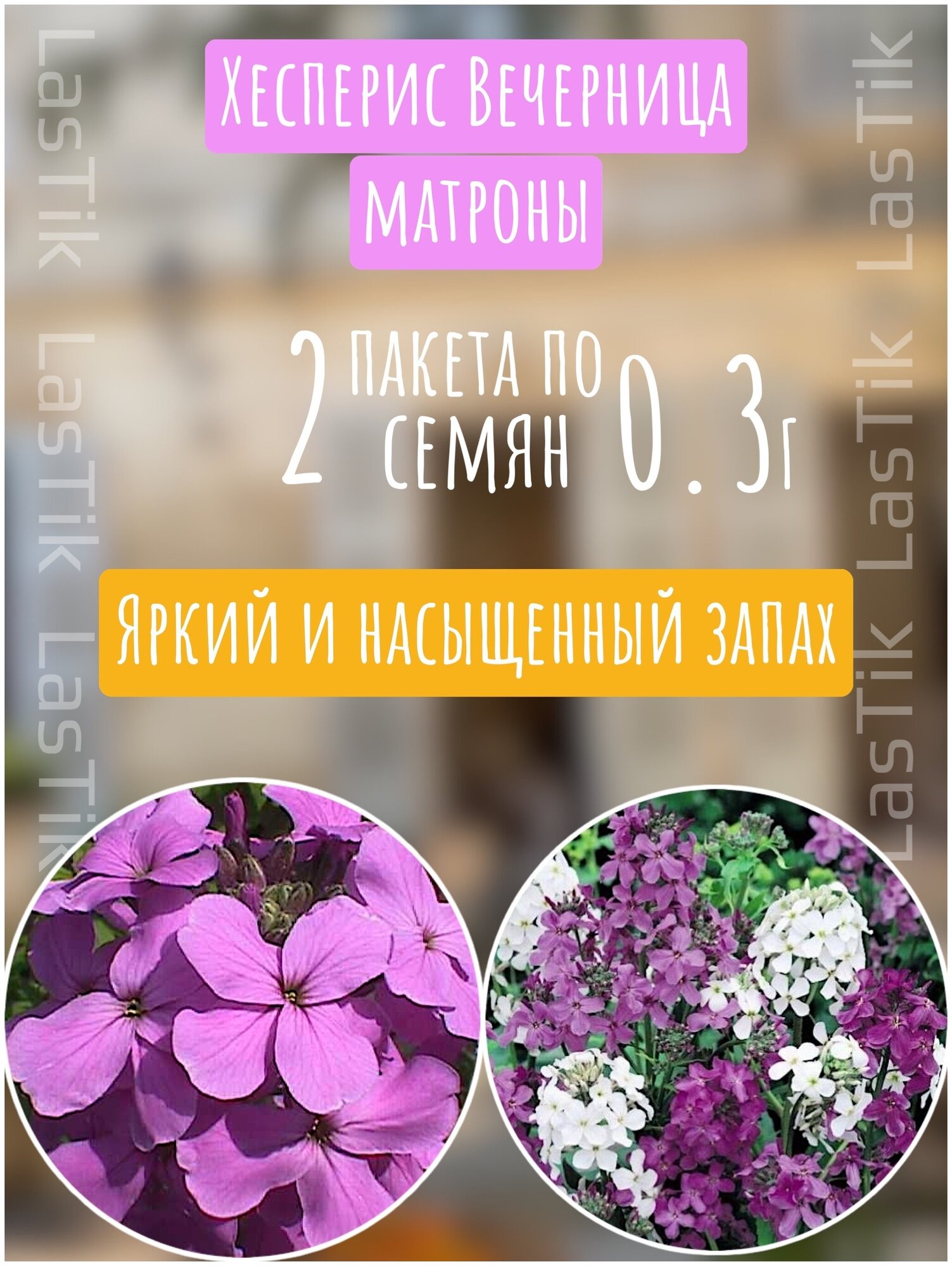 Цветы Вечерница Матроны (Хесперис) 2 пакета по 03г семян