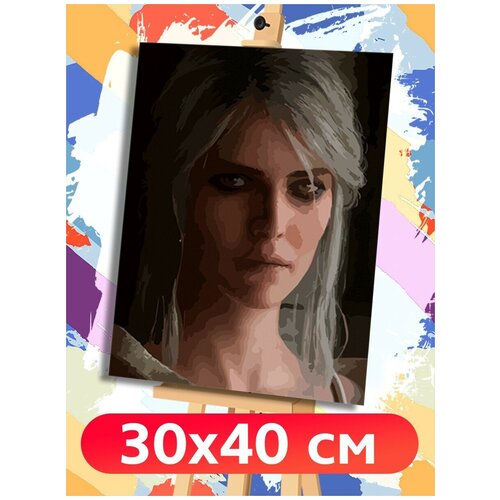 Картина по номерам Игра Witcher Ведьмак Цири - 6013 В 30x40