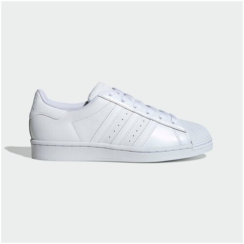 фото Кроссовки adidas superstar, размер 6, белый