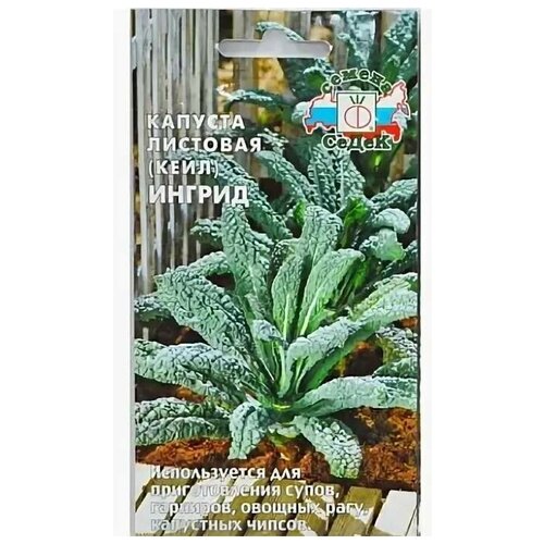 Семена Капуста листовая Кейл Ингрид (3г ) капуста кудрявая кейл в кассете 6 шт