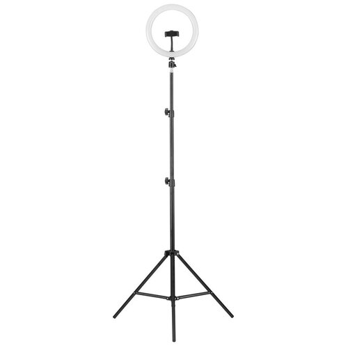 Camelion Светильник кольцевой с подставкой для смартфона KD-810F C02 200000₽