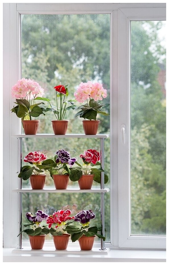 Цветы на окно купить стаканы с цветами купить