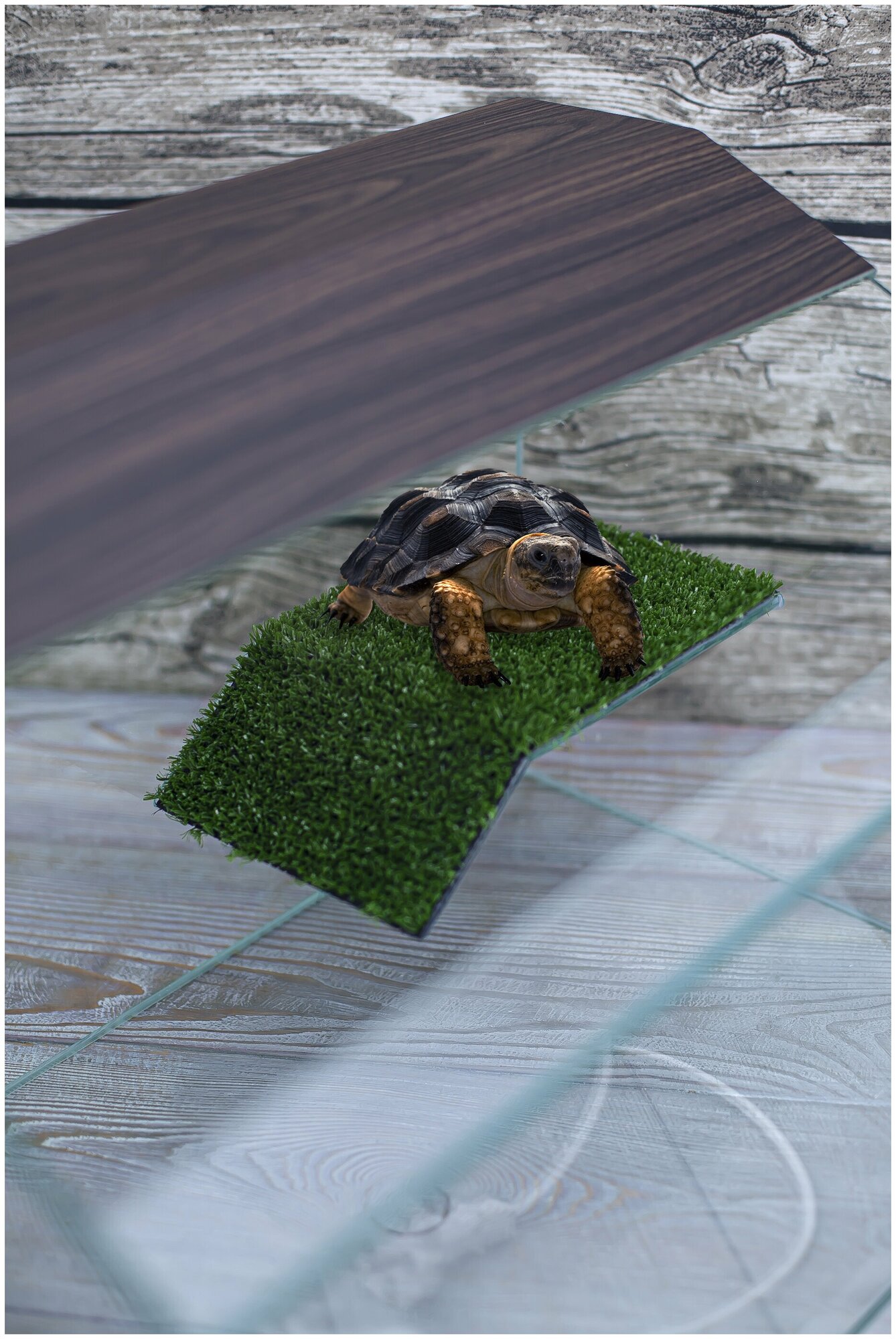 Аквариум для красноухой черепахи/Черепашник 40 литров, 45*30*30 см, с мостиком - фотография № 4