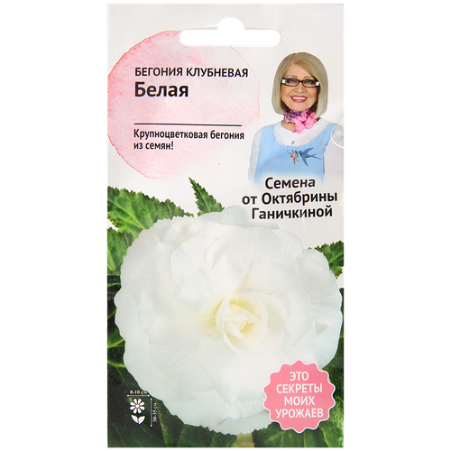 Бегония клубневая Белая 6 шт, семена однолетних цветов для сада дачи и дома, однолетние цветы для балкона для горшков, для домашнего выращивания