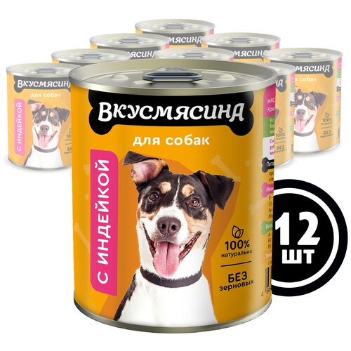 Влажный корм для собак Вкусмясина беззерновой, индейка 1 уп. х 12 шт. х 340 г