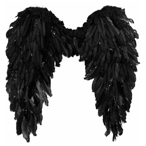 фото Крылья ангела, 60х57 см, цвет чёрный bristol novelty