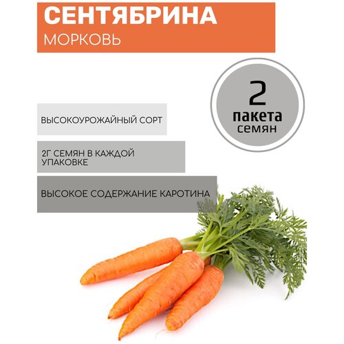 Морковь Сентябрина 2 пакета по 2г семян петрушка корневая русский размер 2 пакета по 2г семян